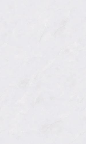 PJL1355C22A阿摩斯