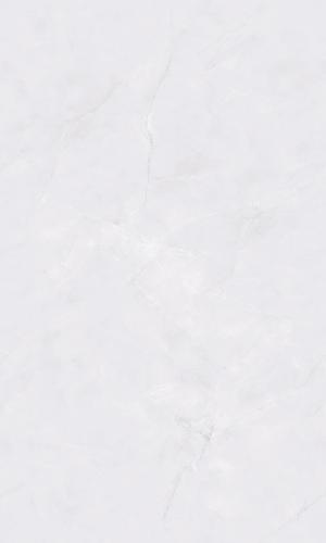 PJL1355C22A阿摩斯