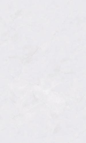 PJL1355C22A阿摩斯