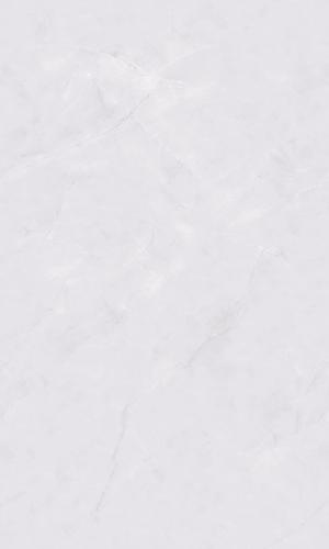 PJL1355C22A阿摩斯