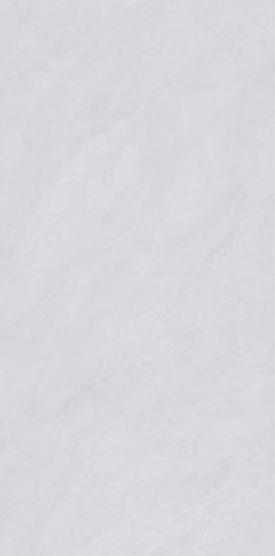 PJJ488102A