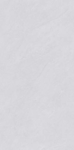 PJJ488102A