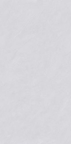PJJ488102A