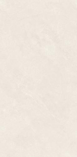 PJJ488103A