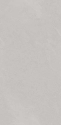 PJJ488107A
