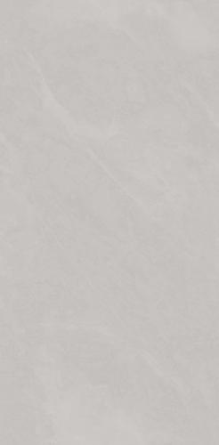 PJJ488107A