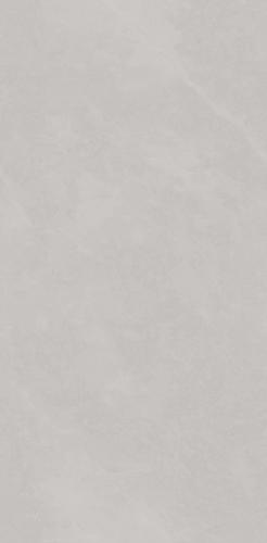 PJJ488107A