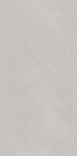 PJJ488107A