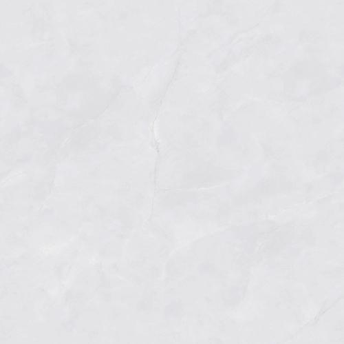 PJL808C22A阿摩斯