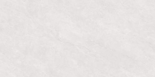 PJL488T21A福伊波斯