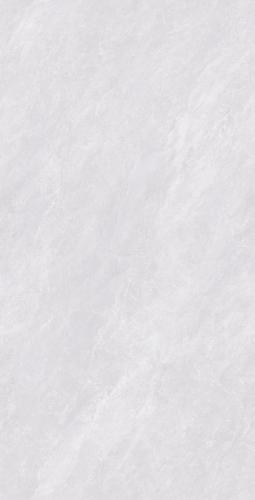 PJL1885C02A帕斯卡