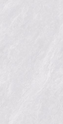 PJL1885C02A帕斯卡