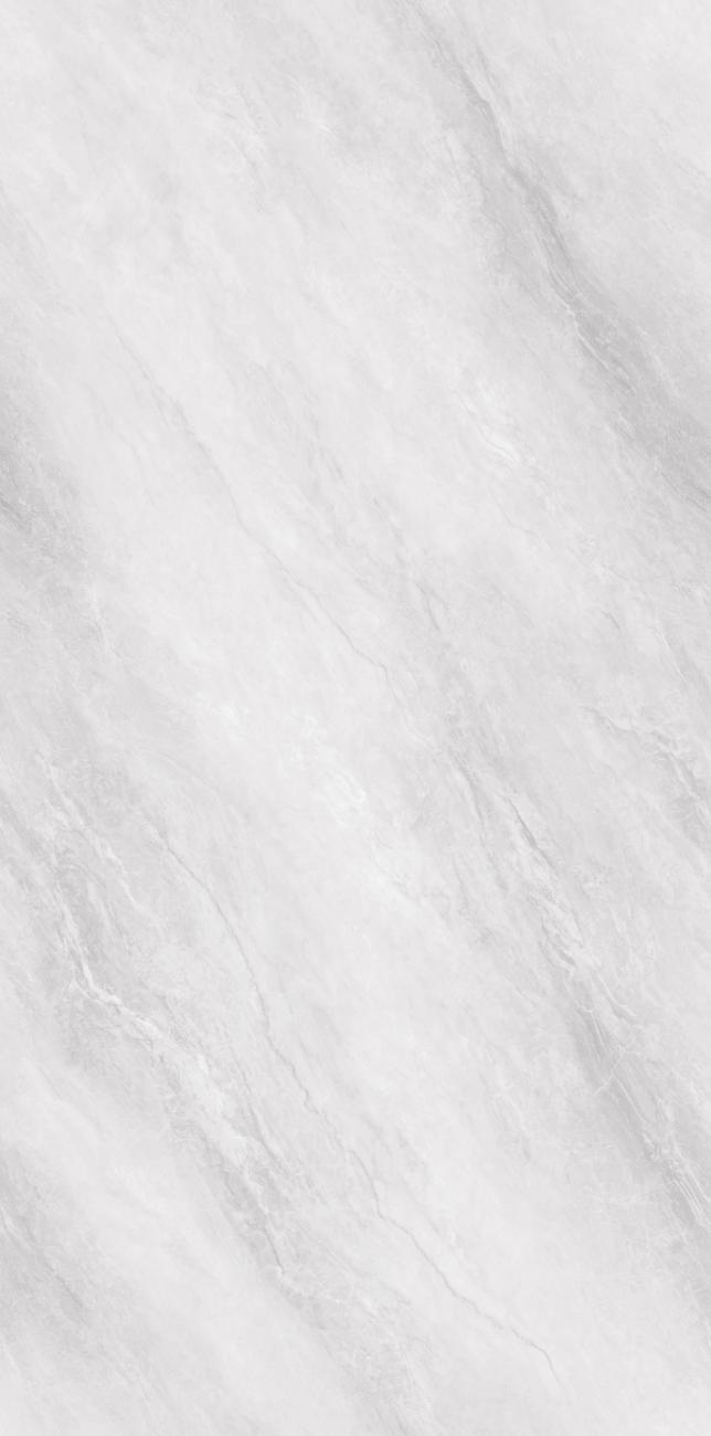 PJL1585C08A波尔图