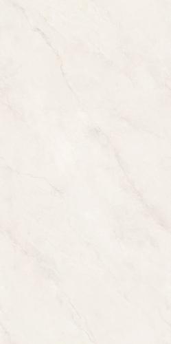 PJL1585C07A里斯本