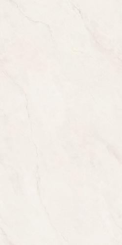 PJL1585C07A里斯本