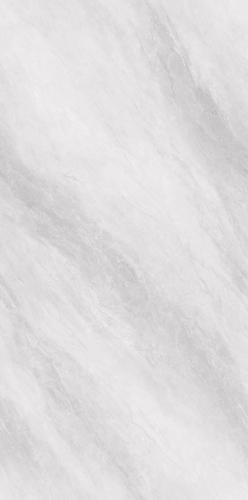 PJL1585C08A波尔图