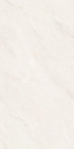 PJL1885C07A里斯本