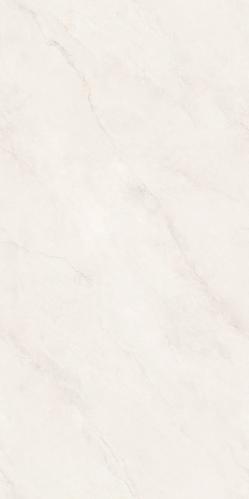 PJL1885C07A里斯本