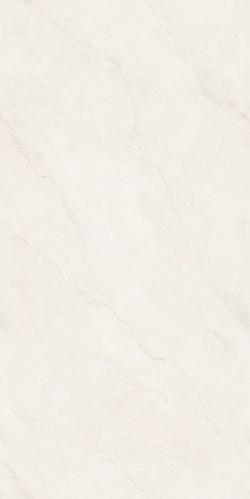 PJL1885C07A里斯本