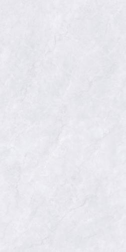 PJL1885C06A阿尔特斯