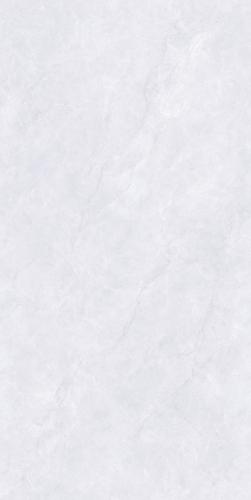 PJL1885C06A阿尔特斯