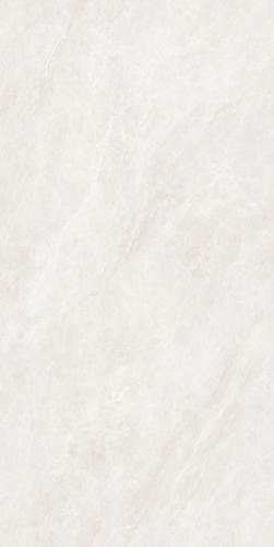 PJL1285C21A福伊波斯