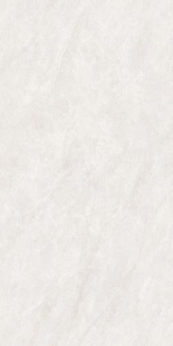 PJL1585C21A福伊波斯