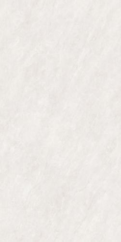 PJL1585C21A福伊波斯